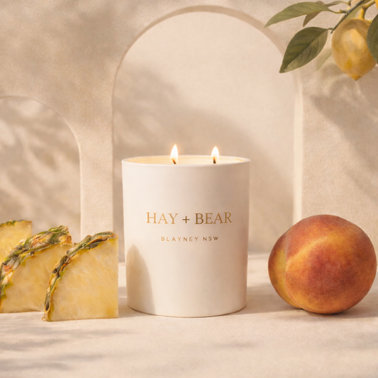 Hay + Bear candle with pineapple slices, lemon, and peach on a neutral background