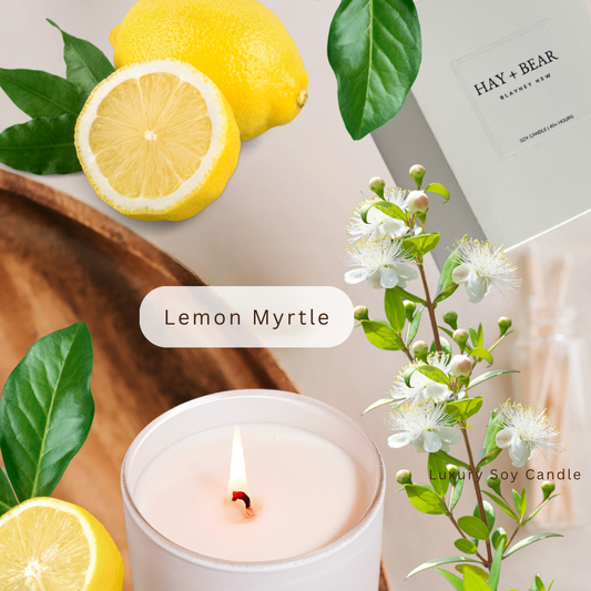 Lemon Myrtle Soy Candle