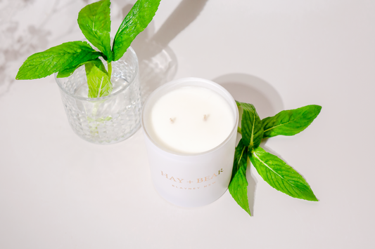 Mint Mojito Soy Candle